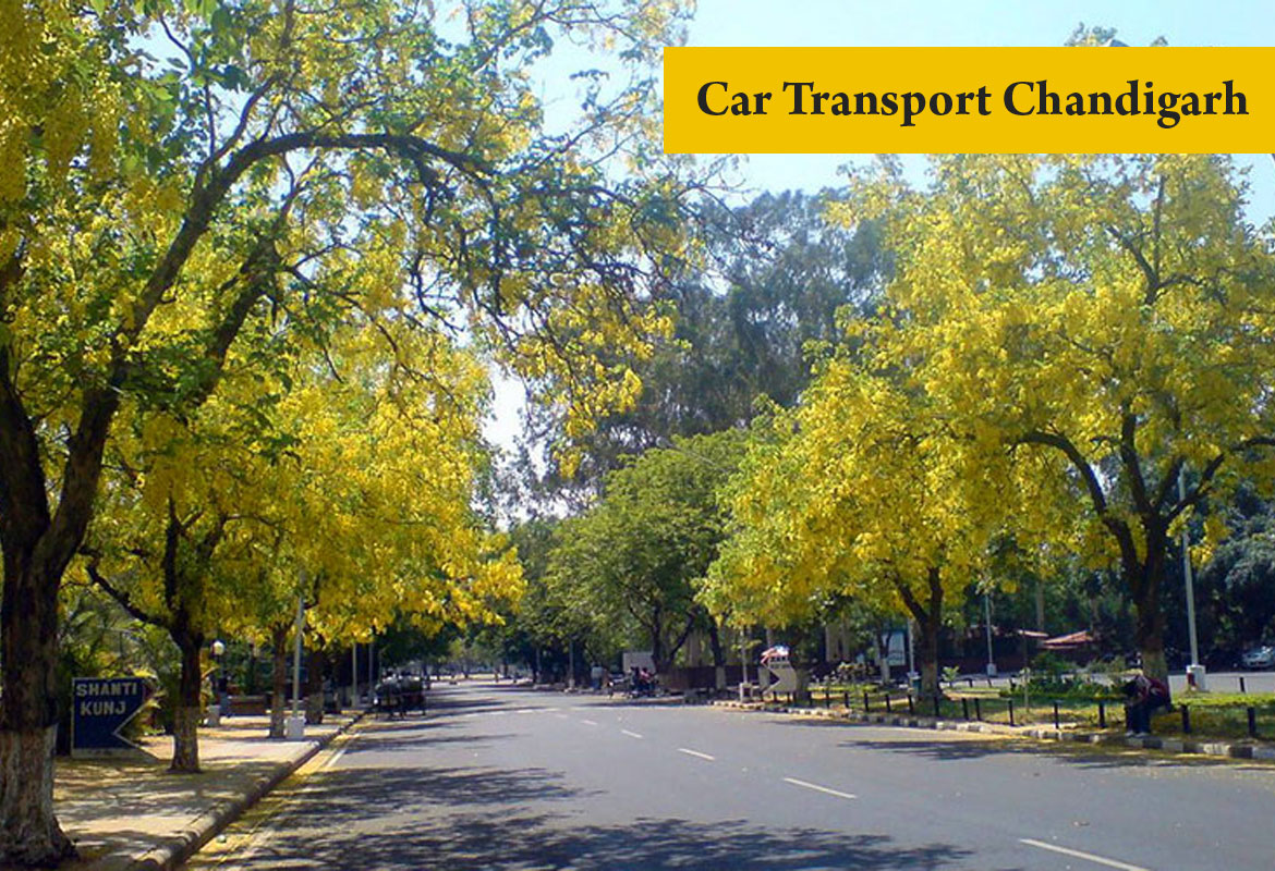 Car Transport Chandigarh